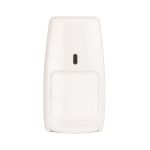 Belaidis judesio daviklis